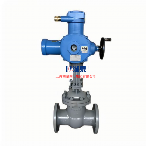 ZB941H-64C DN250隔爆型鑄鋼礦用電動閘閥