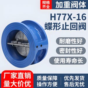 止回閥和底閥H77X-16 DN50